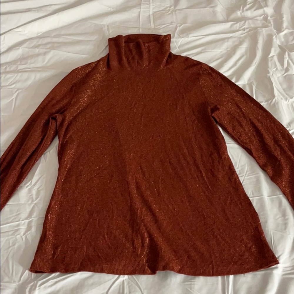 Woman’s International Concepts INC Turtle Neck